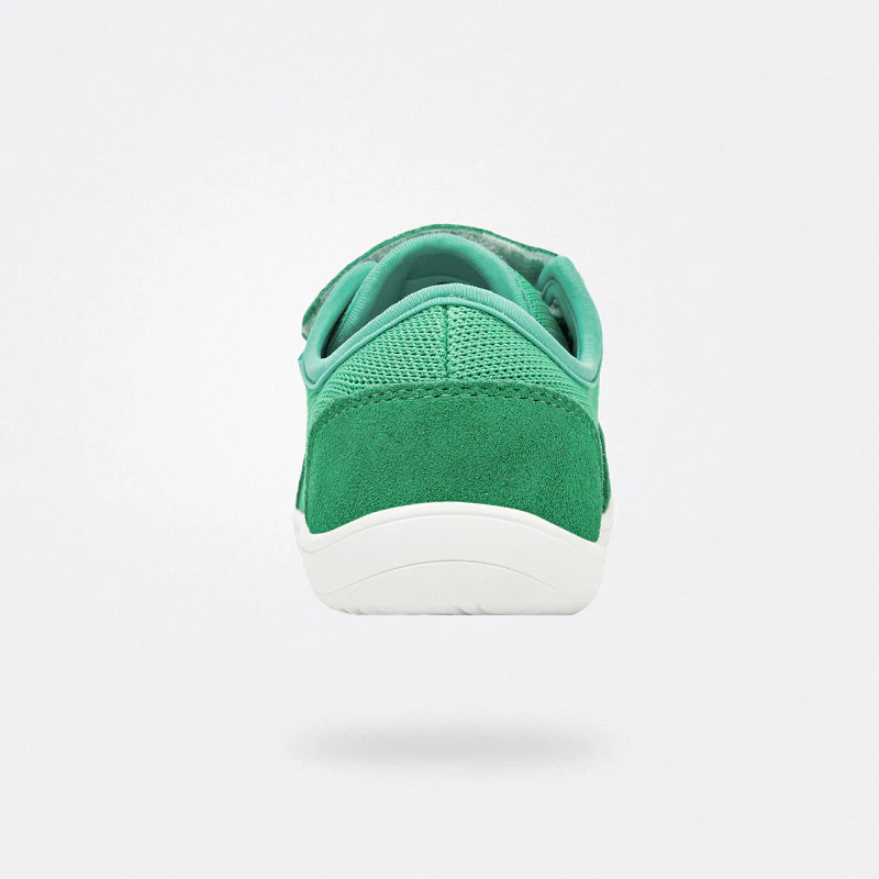 Imagen del producto 10